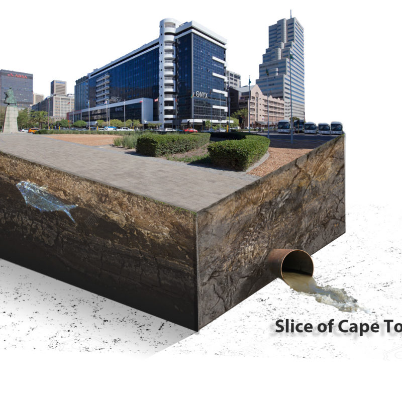 Little Worlds Cape Town